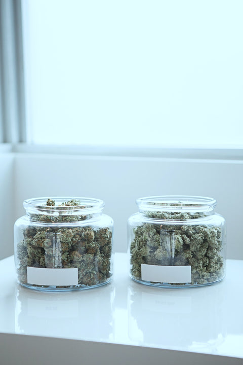 Unleash Your Creative Potential: How Cannabis Can Enhance Your Creative Process