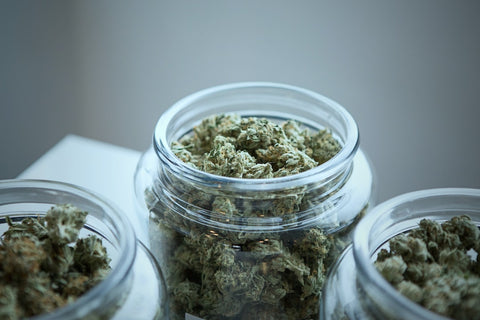 Cannabis and Mindfulness: Elevating Your Mindful Practice with a Twist