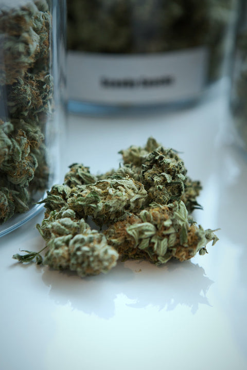 The Art of Cannabis Pairing: Finding the Perfect Combination