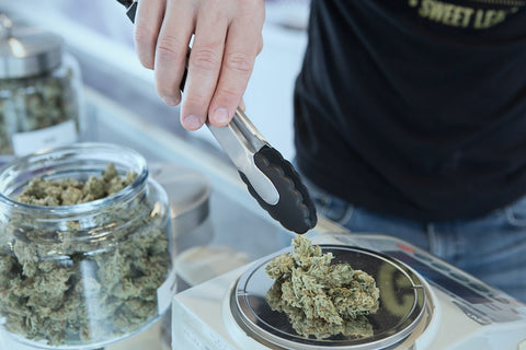 Stay Up to Date: The Latest Cannabis News and Updates You Should Know!