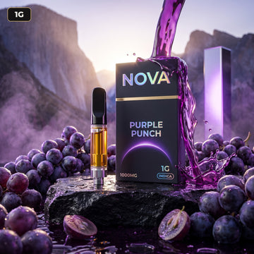 1g 🍇 Nova Purple Punch