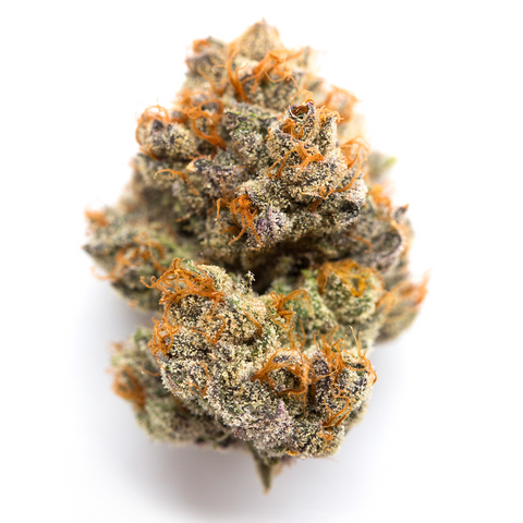 🔥Exotic: Banzai Gushers - $70 Reg. Price