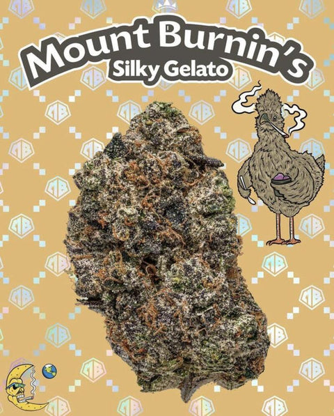 2.5g Packwoods - Premium Mount Burnin's Silky Gelato