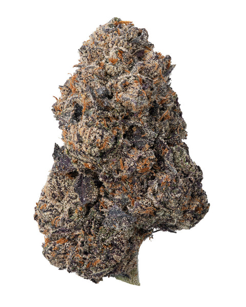 👑 King Louie XIII