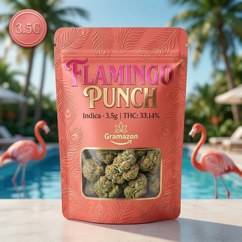 Flamingo Punch