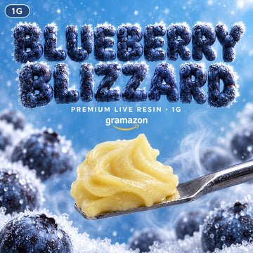 1g Premium – Blueberry Blizzard