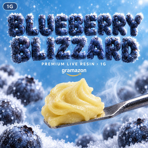Gramazon 1G — Blueberry Blizzard