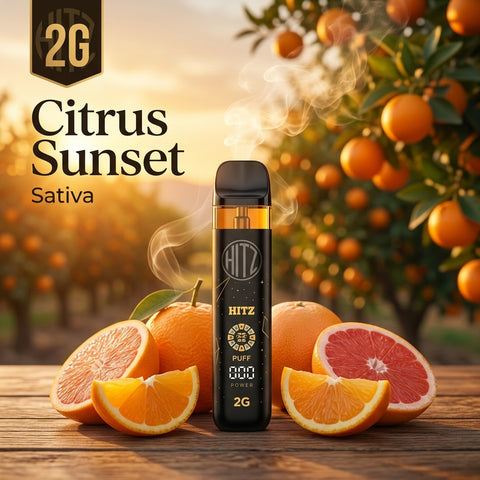 2g HITZ - Citrus Sunset Live Resin Disposable