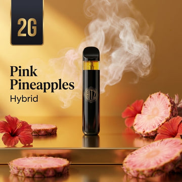 2g HITZ Pink Pineapples