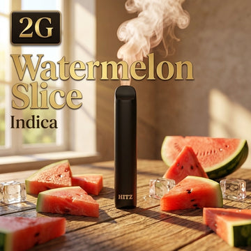 2g HITZ Watermelon Slice