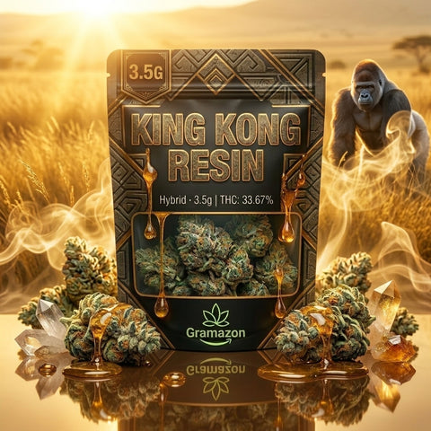King Kong Resin — bright savanna sunlight with gorilla