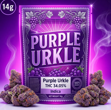 14g Purple Urkle
