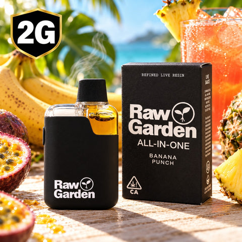 2g Raw Garden All-In-One Disposable - Banana Punch