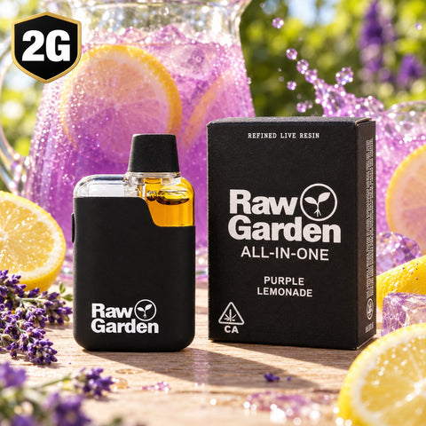2g Raw Garden All-In-One Disposable - Purple Lemonade