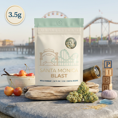 🔥 Santa Monica Blast