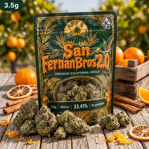 ⛽️ San FernanBros 2.0 ⛽️
