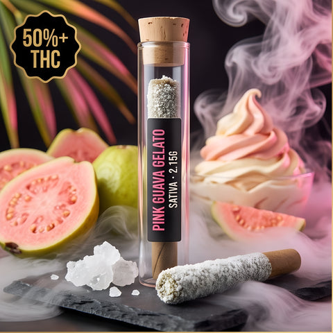 2.15g THCA Pink Guava Gelato - Sativa Preroll