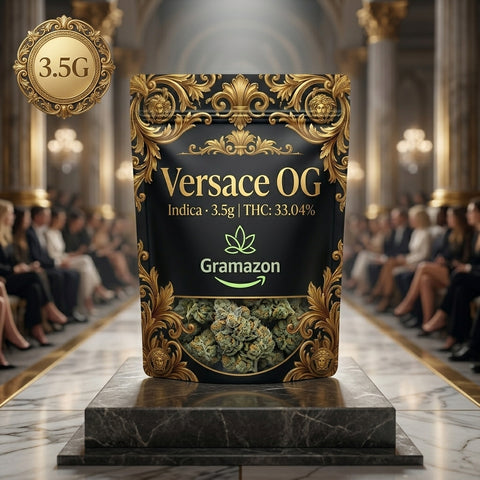 Versace OG